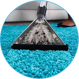 boton lavado de alfombras