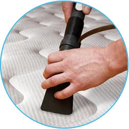 boton lavado de colchones