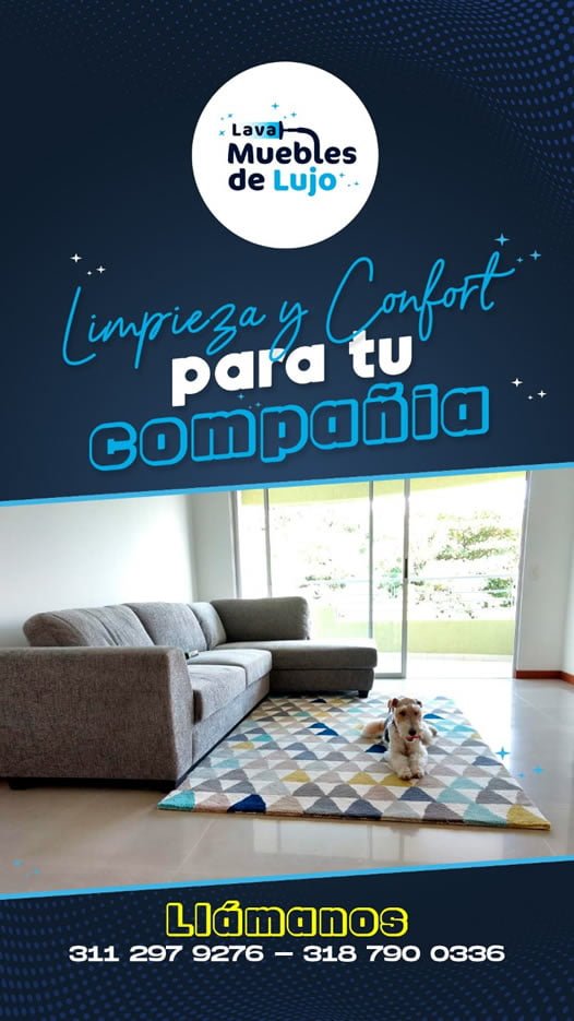 lavado de alfombras 4